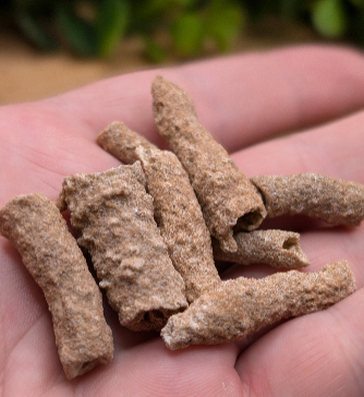 Fulgurite Specimen