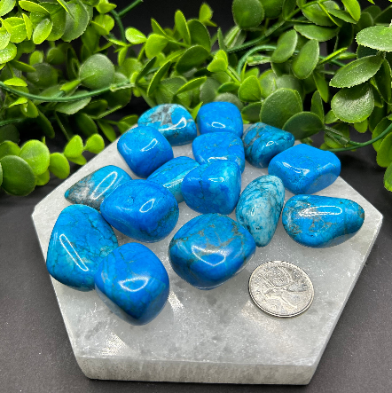 Turquoise Howlite Tumbled