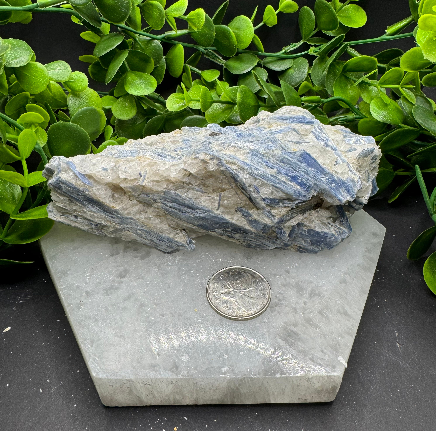 Blue Kyanite Cluster