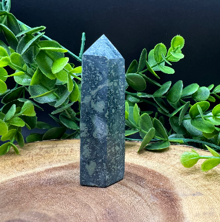Kambaba Jasper Polished Point