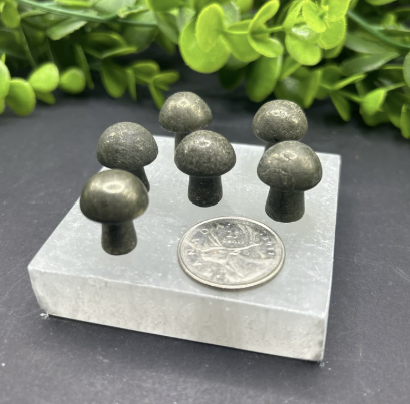 Assorted Pyrite Mini Mushrooms