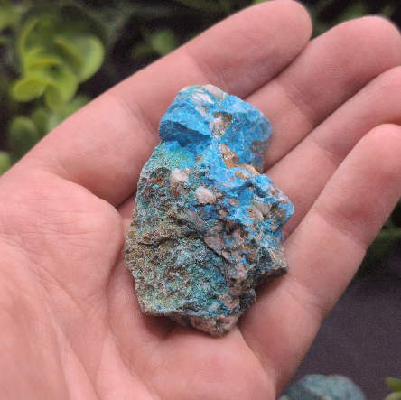 Chrysocolla Rough Cut