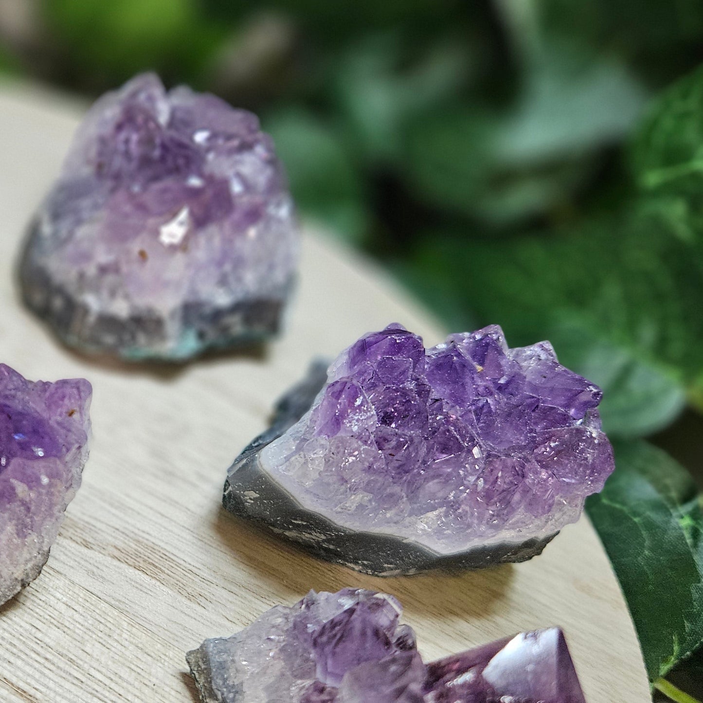 Amethyst Clusters