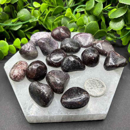 Dark Lepidolite Tumbled