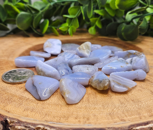 Blue Lace Agate Tumbled