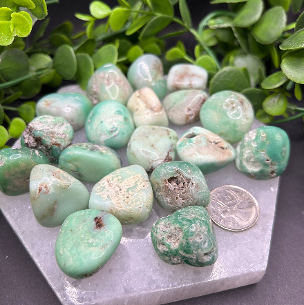 Chrysoprase Tumbled (M/L)
