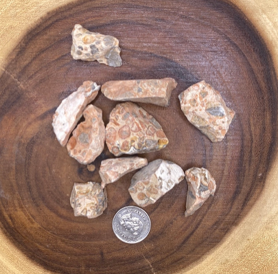 Leopardite Rough Cut