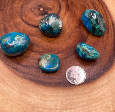 Chrysocolla Tumbled (M)