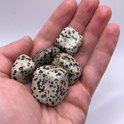 Dalmatian Jasper Tumbled (M/L)
