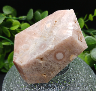 Flower Agate Freeform #1