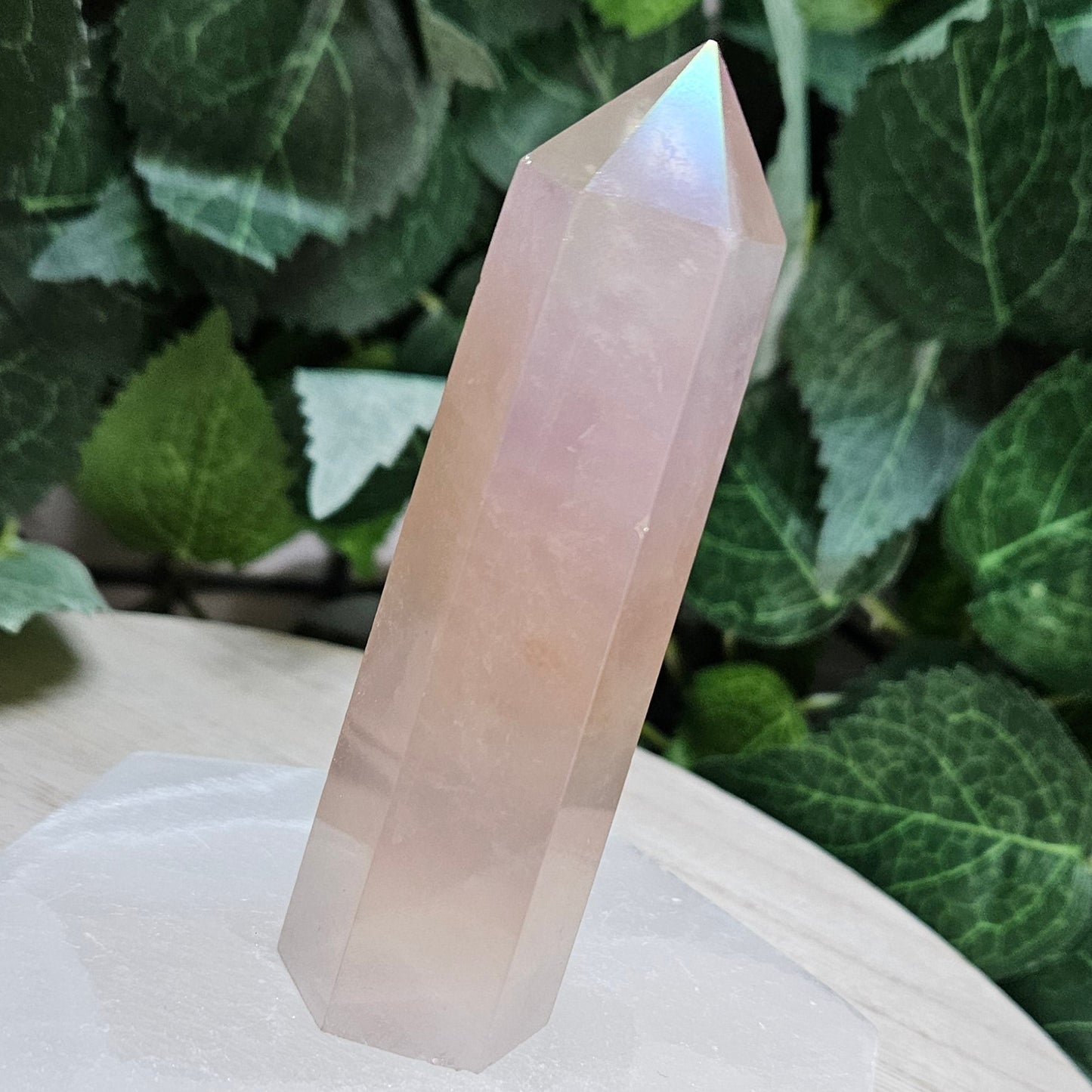 Aqua Aura Rose Quartz Polished Point