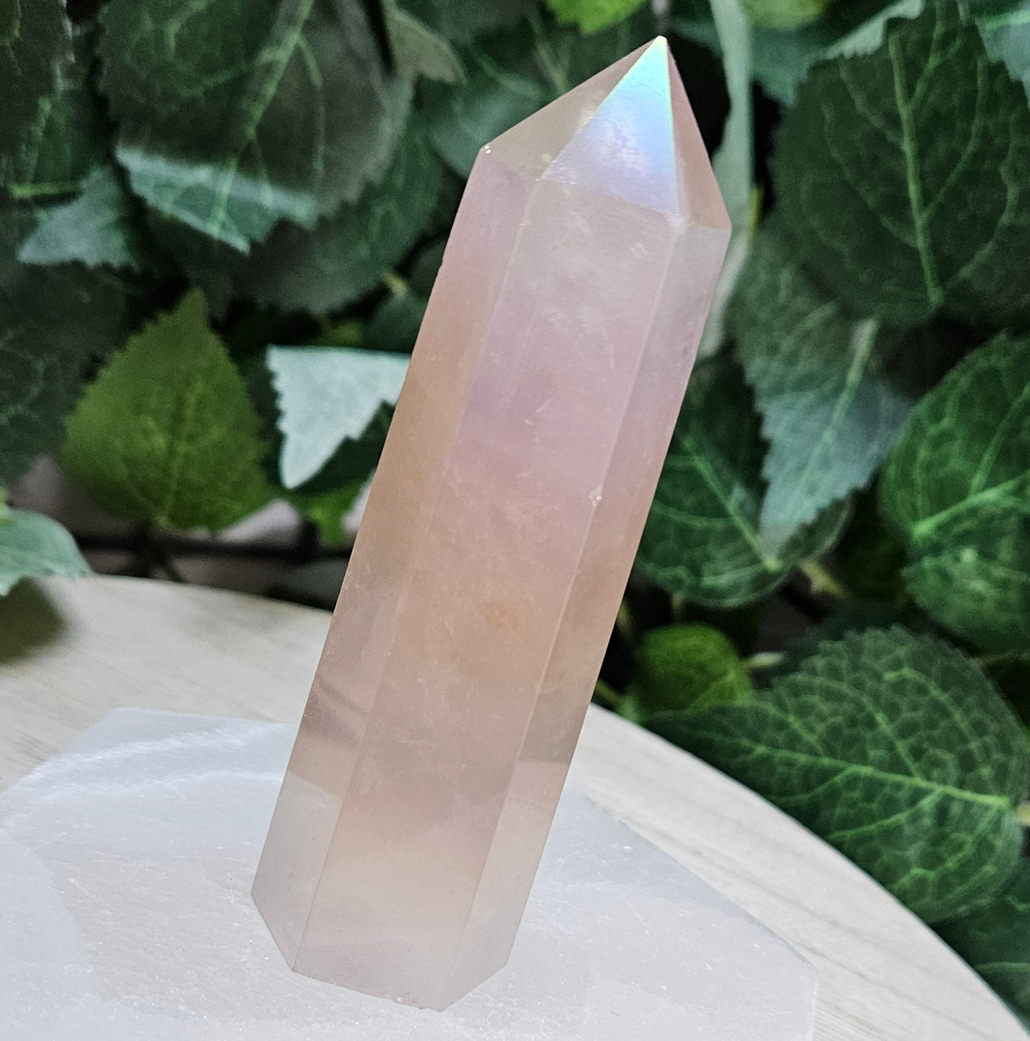 Aqua Aura Rose Quartz Polished Point