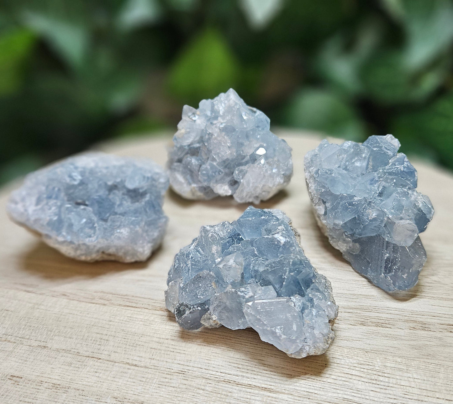Celestite Clusters