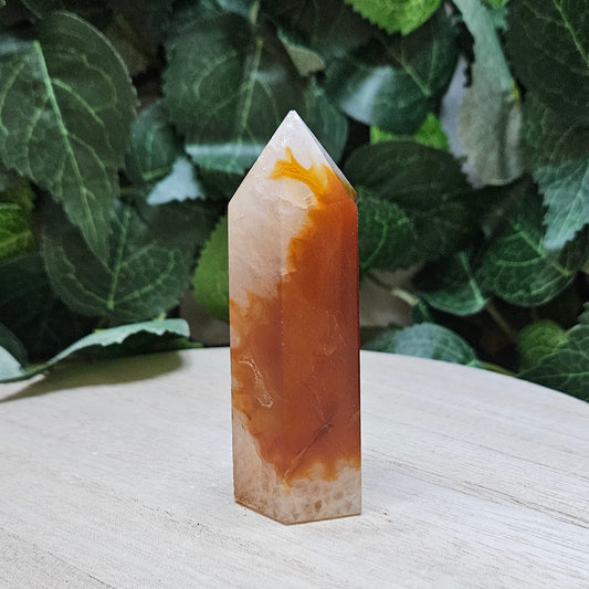 Carnelian Polished Points