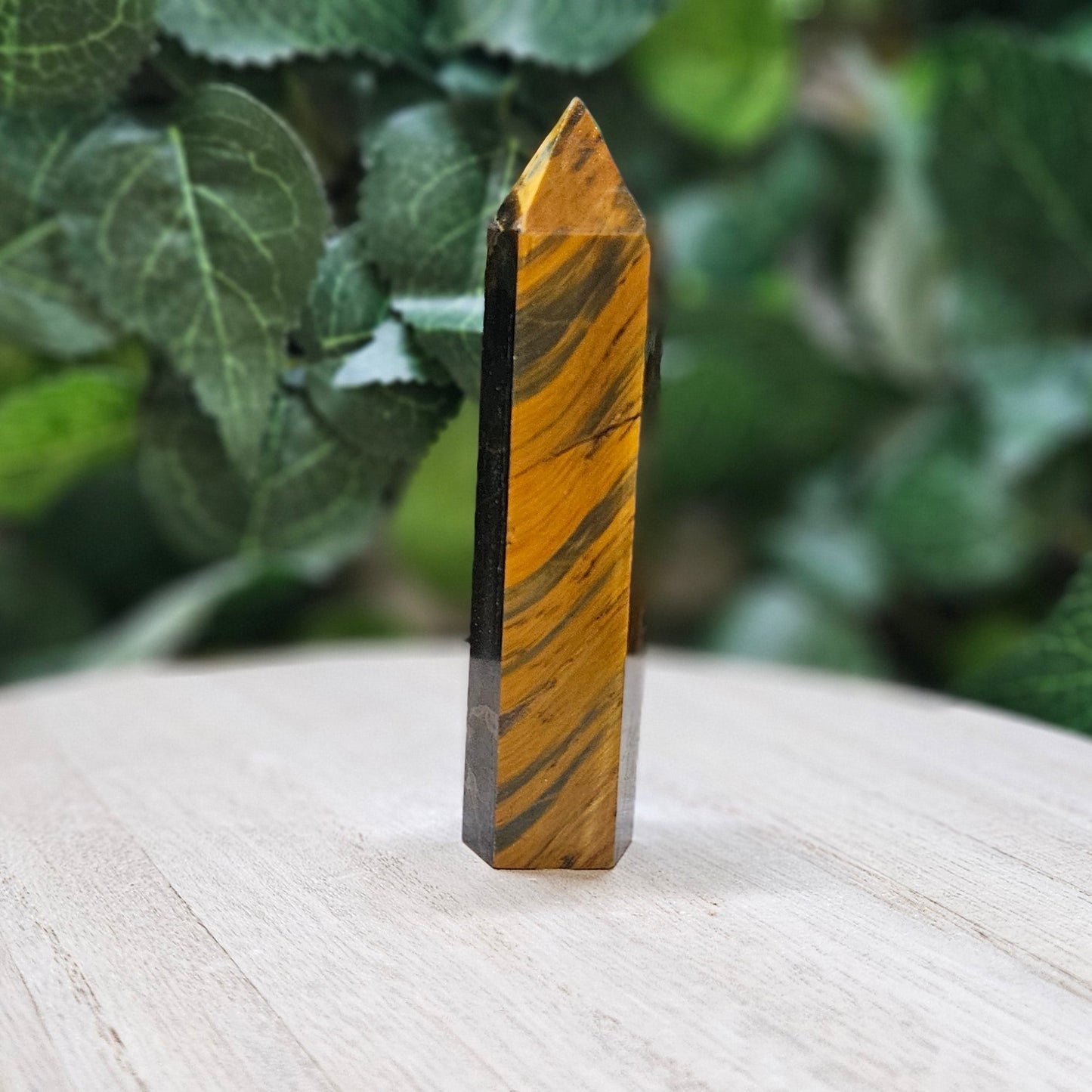 Tiger's Eye Polished Points