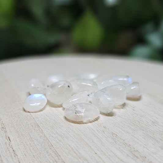 Blue Moonstone AA Grade Tumbled Stone