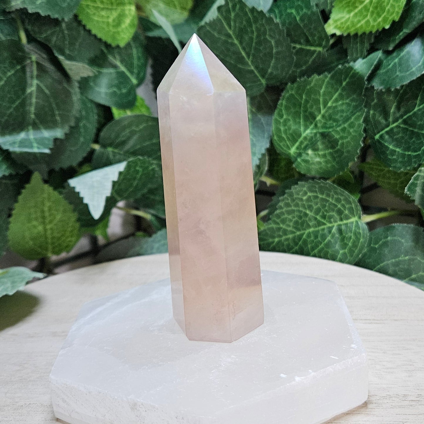 Aqua Aura Rose Quartz Polished Point
