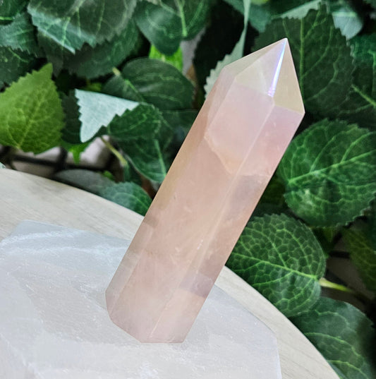 Aqua Aura Rose Quartz Polished Point