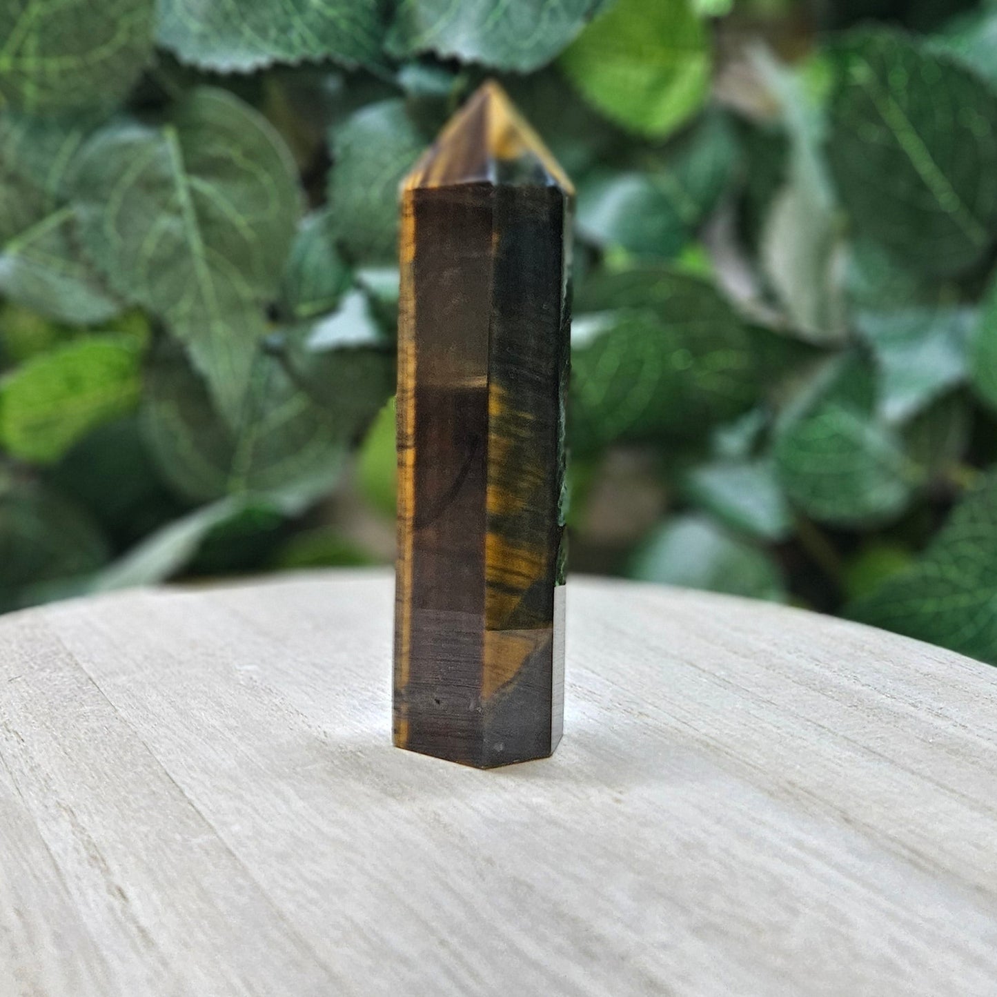 Tiger's Eye Polished Points