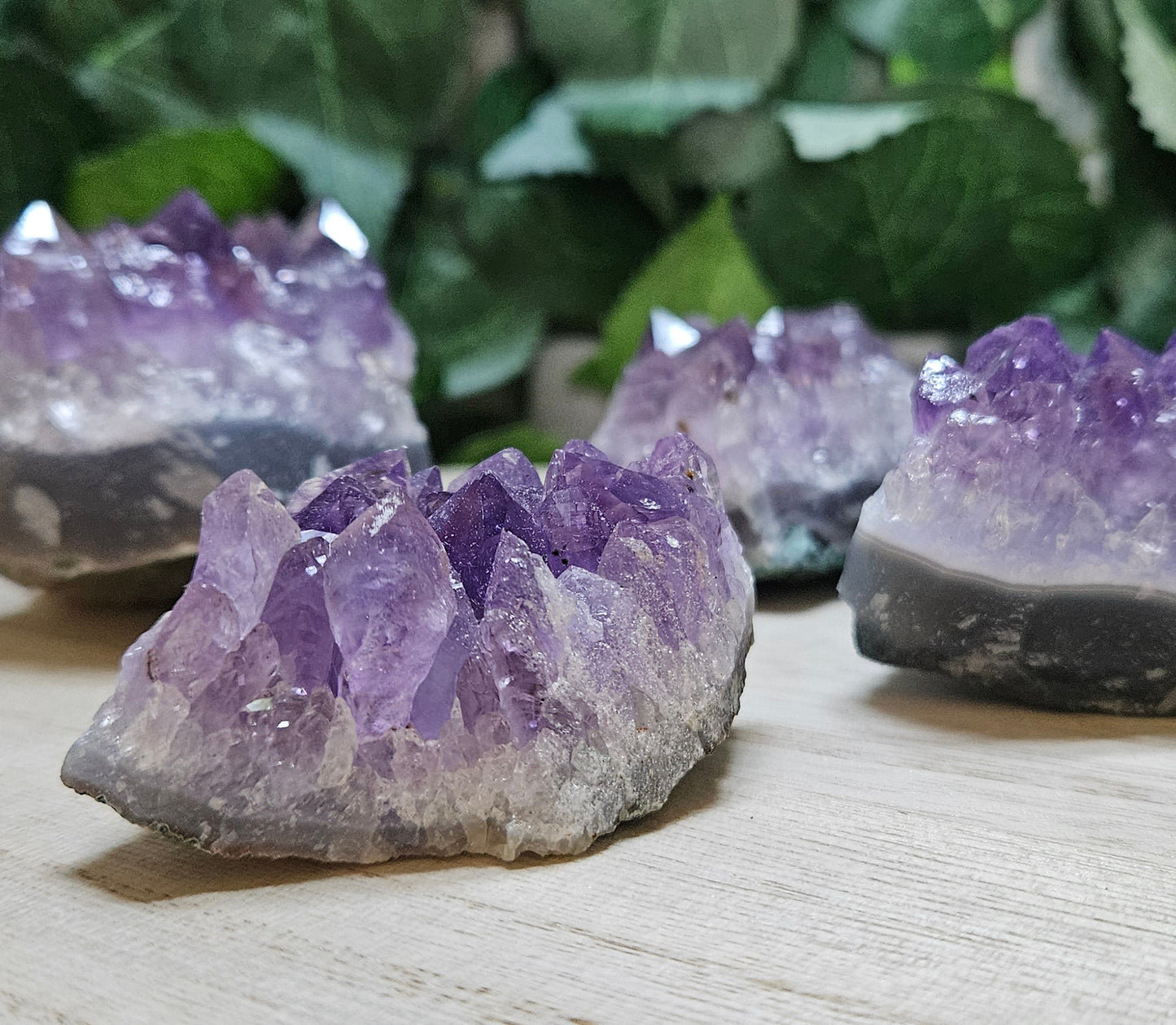 Amethyst Clusters
