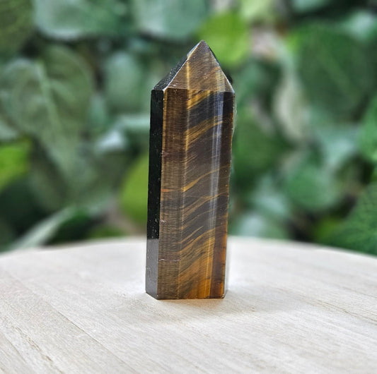 Tiger's Eye Polished Points