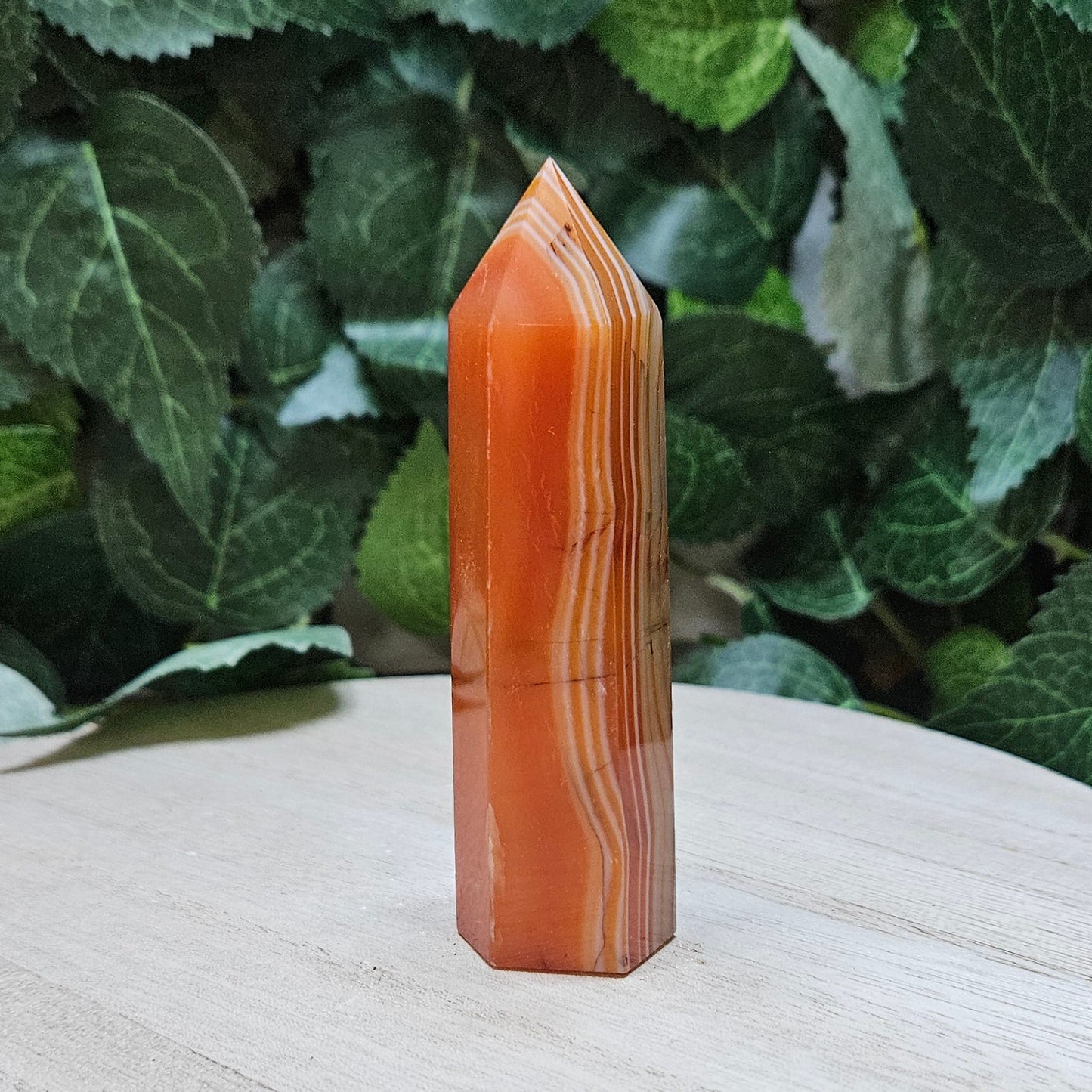 Carnelian Polished Points