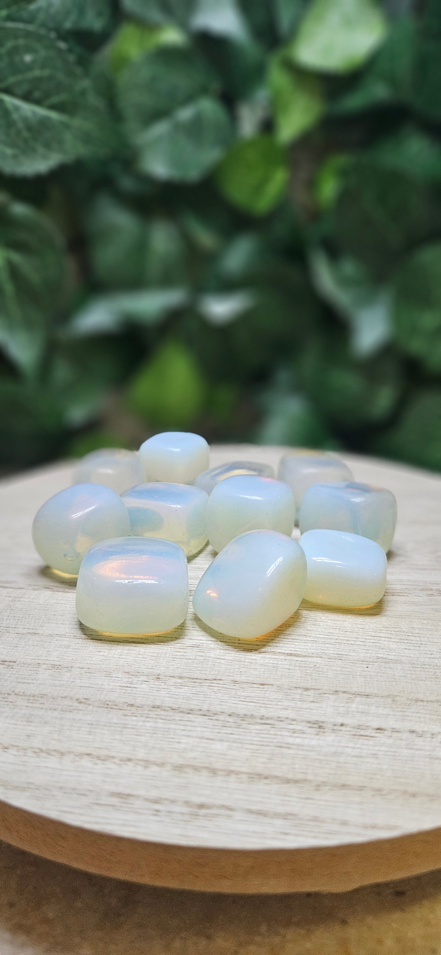 Opalite Tumbled Stone (M/L)